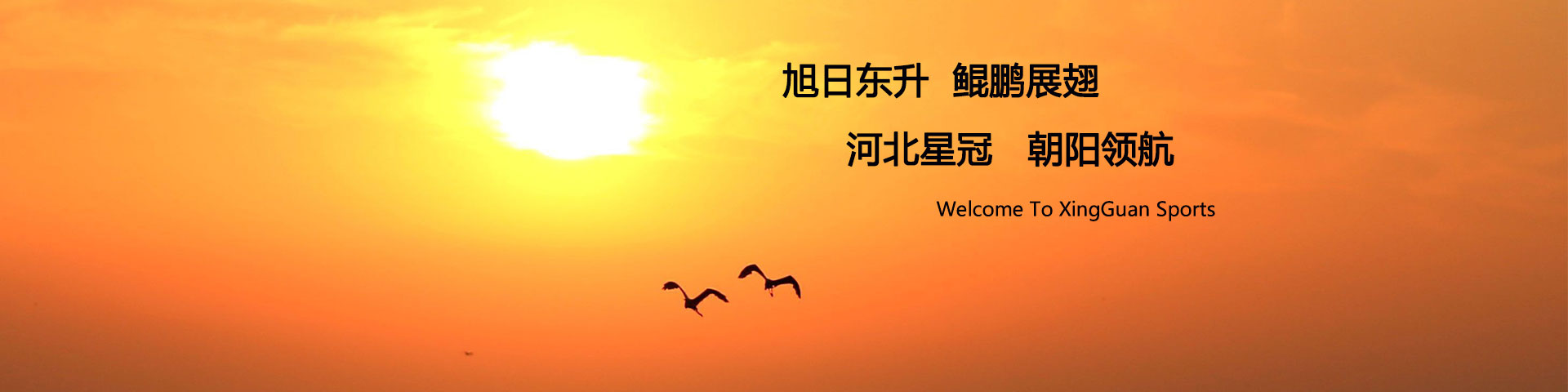 多乐游戏官网首页下载
